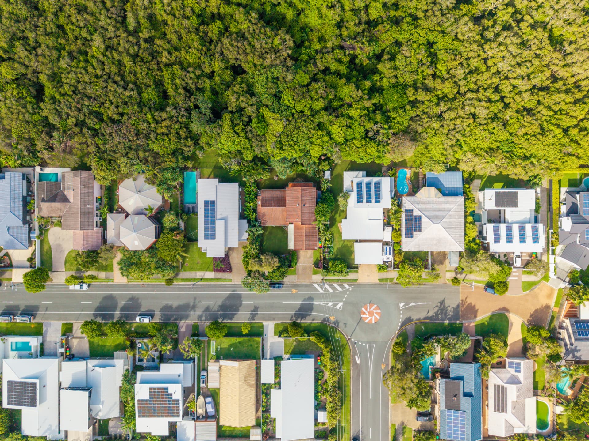 Aerial view of homes, a tree-lined street and surrounding greenery